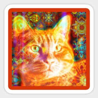 Orange Kitty Cat Batik Design Sticker